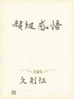 超级感悟封面