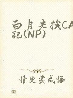 白月光挨CAO记(NP)