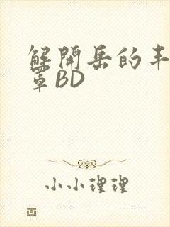 解开岳的丰满奶罩BD封面
