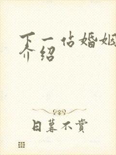 下一站婚姻剧情介绍