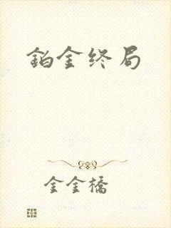 铂金终局