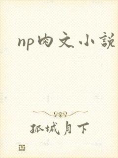 np肉文小说