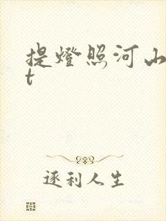 提灯照河山txt