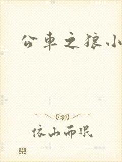 公车之狼小说
