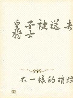 皇子被送去犒劳将士封面