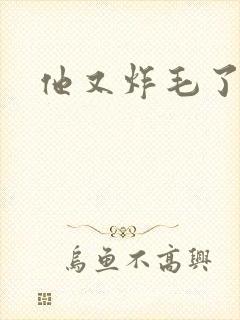 他又炸毛了