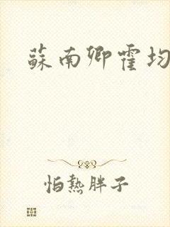 苏南卿霍均曜