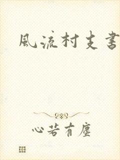 风流村支书