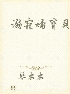 溺宠娇宝贝封面