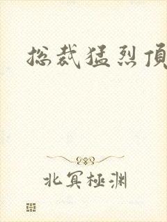 总裁猛烈顶弄h