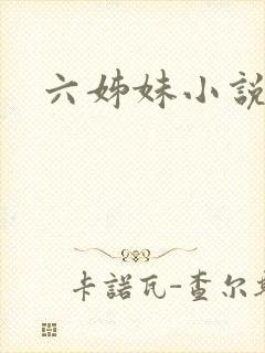 六姊妹小说