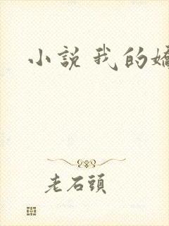 小说 我的娇妻