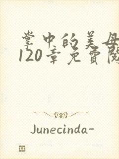 掌中的美母版主120章免费阅读封面