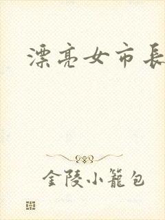漂亮女市长封面