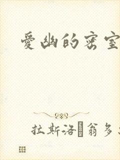 爱幽的密室小说