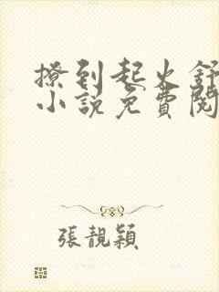 撩到起火舒漾的小说免费阅读全文封面