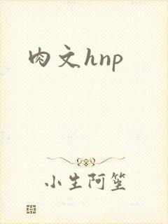 肉文hnp