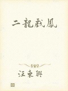 二龙戏凤