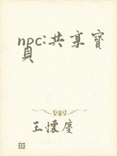 npc:共享宝贝