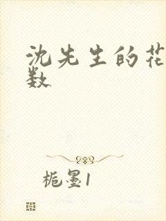 沈先生的花式调数