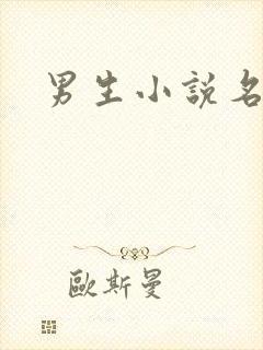 男生小说名字