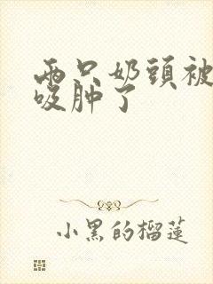 两只奶头被老头吸肿了封面