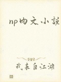 np肉文小说封面