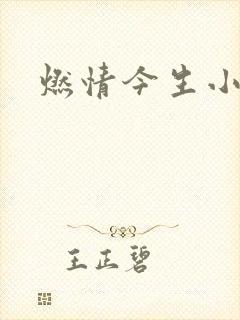 燃情今生小说