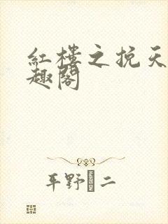 红楼之挽天倾笔趣阁封面