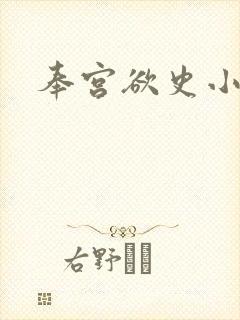 奉宫欲史小说封面