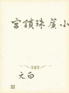 宫锁珠帘小说封面