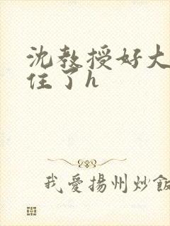 沈教授好大含不住了h