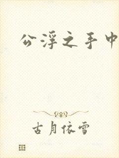 公浮之手中字5