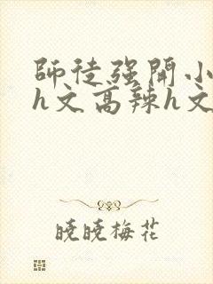 师徒强开小嫩苞h文高辣h文封面