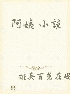 阿姨 小说