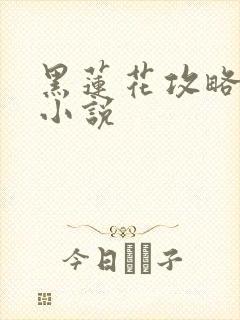 黑莲花攻略手册小说封面