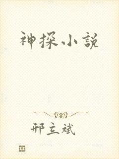神探小说