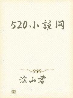520小说网封面