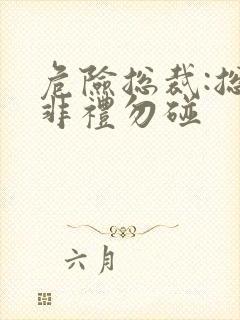 危险总裁:总裁非礼勿碰封面