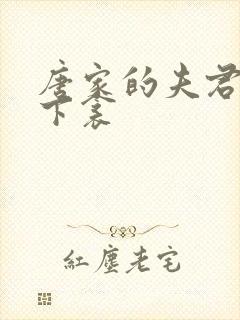 唐家的夫君们帘下衾封面