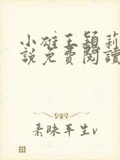 小雄王颖莉的小说免费阅读全文