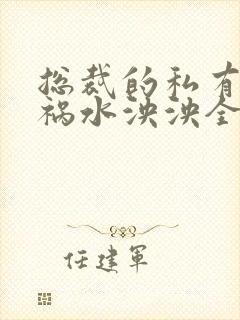 总裁的私有宝贝祸水泱泱全文阅读封面