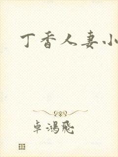 丁香人妻小说