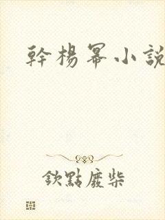 干杨幂小说