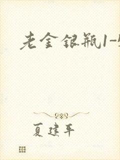 老金银瓶1-5