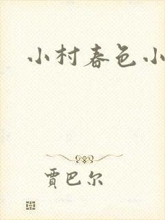 小村春色小说