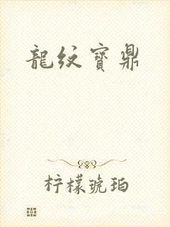 龙纹宝鼎封面