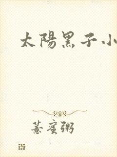太阳黑子小说
