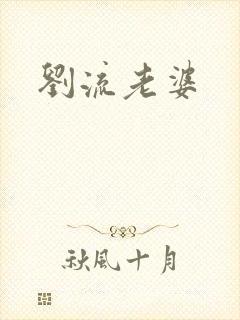 刘流老婆封面