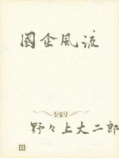 国企风流
